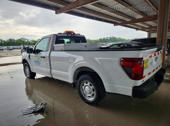 1FTMF1KP2RKD17036 2024 FORD F150 White Trasero izquierdo