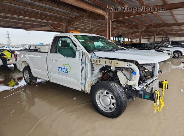 1FTMF1KP2RKD17036 2024 FORD F150 White Delantero derecho