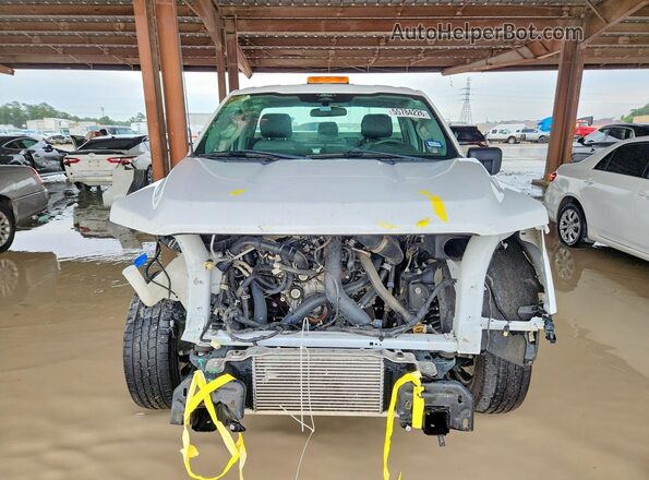 1FTMF1KP2RKD17036 2024 FORD F150 White Vista frontal