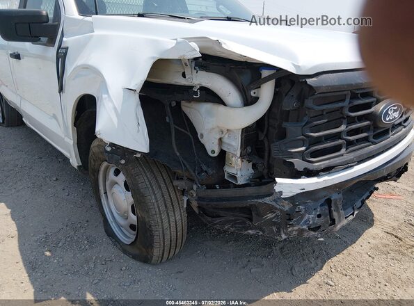 1FTMF1KP8RKD96275 2024 FORD F150 White Front view
