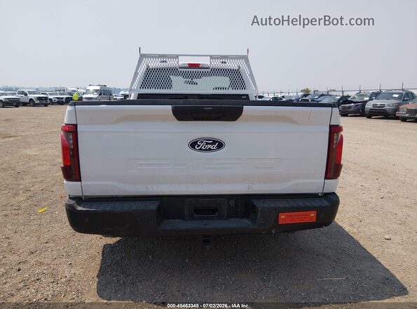 1FTMF1KP8RKD96275 2024 FORD F150 White 