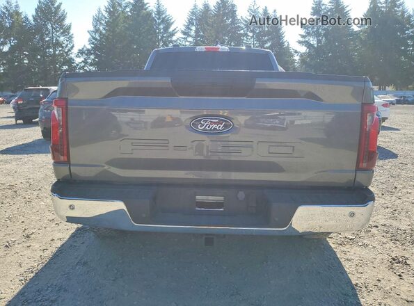 1FTMF1L52RKD41107 2024 FORD F150 Gray Widok z tyłu