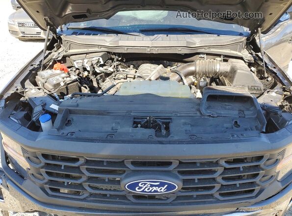 1FTMF1L52RKD41107 2024 FORD F150 Gray Widok wnętrza z tyłu
