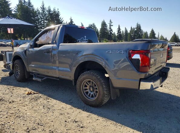 1FTMF1L52RKD41107 2024 FORD F150 Gray Tył lewy