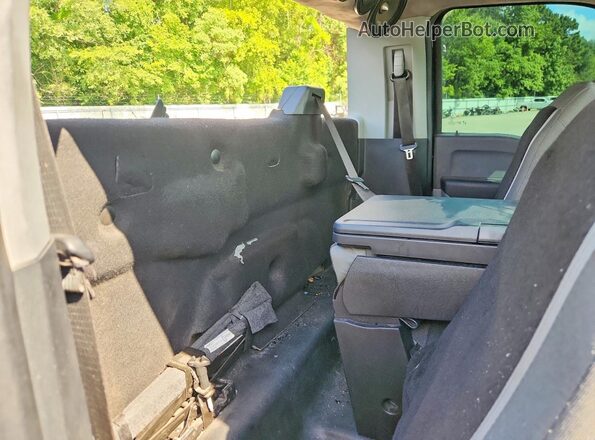 1FTMF1L54RKE58347 2024 FORD F150 Синий Вид задних сидений