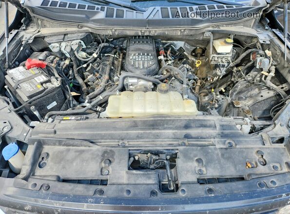 1FTMF1L54RKE58347 2024 FORD F150 Синий Вид задней части салона