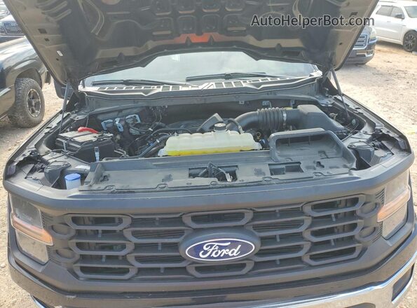 1FTMF1L54SKD13234 2025 FORD F150 Black Вид задньої частини салону