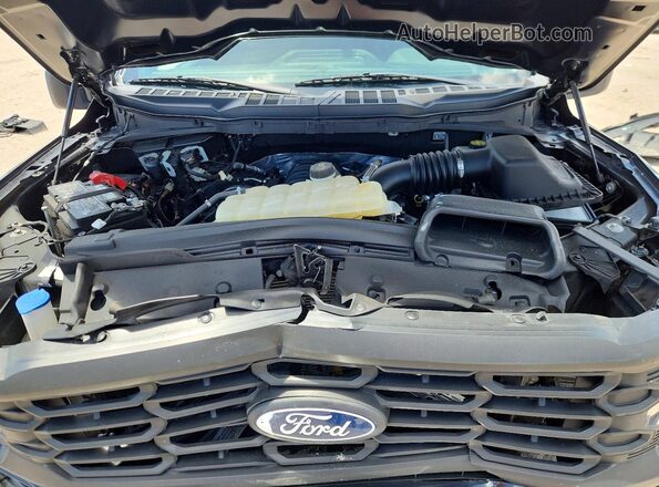 1FTMF1L56RKD02357 2024 FORD F150 Blue უკანა სალონის ხედი
