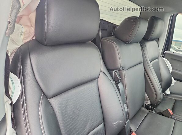1FTMF1L58SKE23302 2025 FORD F150 Blue Հետևի նստատեղերի տեսք