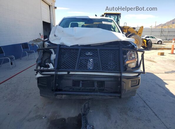 1FTMF1LP9RKF05955 2024 FORD F150 Beige Vista frontal