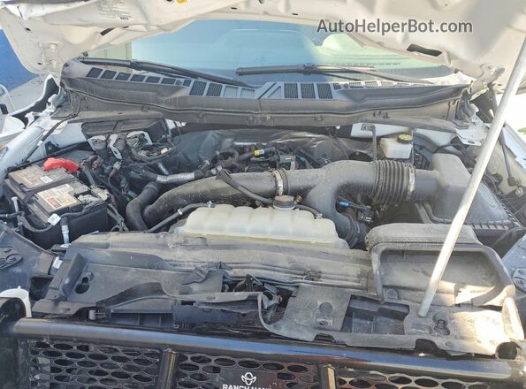 1FTMF1LP9RKF05955 2024 FORD F150 Beige Vista interior trasera