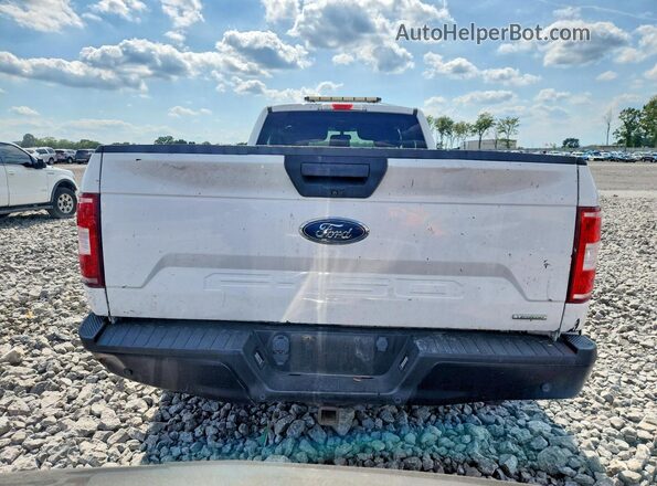 1FTNF1C41KKD16135 2019 FORD F150 White Rear view