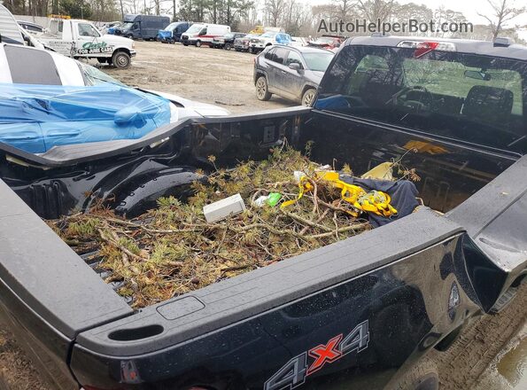 1FTRF3BN3SED18295 2025 FORD F350 Черный Вид задней части салона
