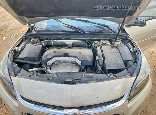 1G11B5SA2GF156087 2016 CHEVROLET MALIBU Gold უკანა სალონის ხედი
