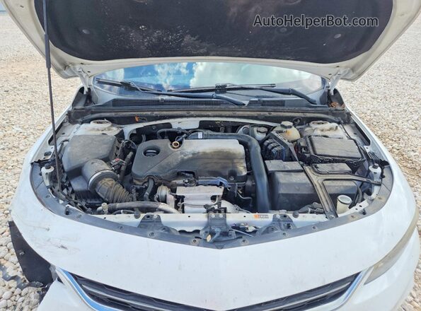 1G1ZB5ST1HF225616 2017 CHEVROLET MALIBU White Вид задньої частини салону
