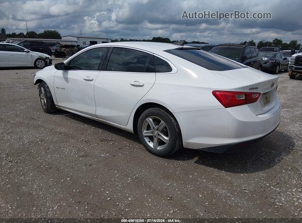 1G1ZB5ST1KF125281 2019 CHEVROLET MALIBU White უკანა მარცხენა