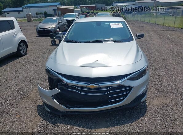 1G1ZB5ST2LF153253 2020 CHEVROLET MALIBU Silver Вид щитка приладів