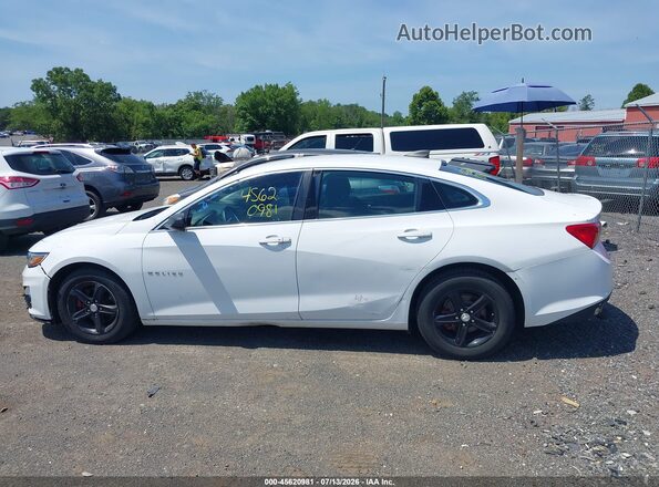 1G1ZB5ST3KF128019 2019 CHEVROLET MALIBU Белый Панорамный вид салона 360°