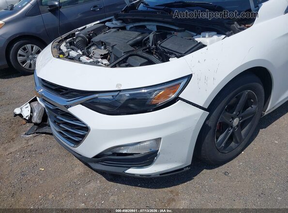 1G1ZB5ST3KF128019 2019 CHEVROLET MALIBU Белый 