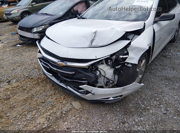 1G1ZB5ST3LF139426 2020 CHEVROLET MALIBU Белый 