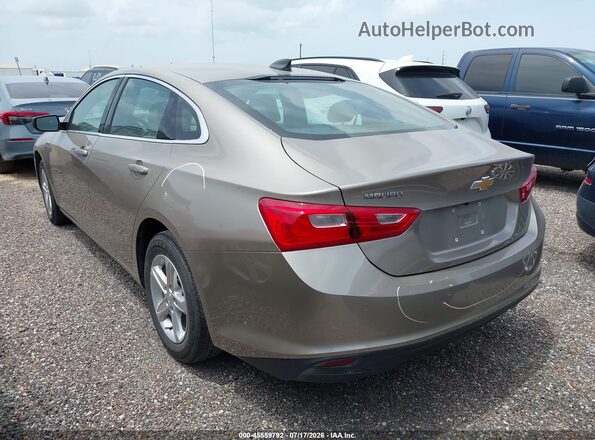 1G1ZB5ST5RF145432 2024 CHEVROLET MALIBU Champagne Задня ліва чверть