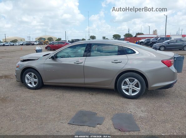 1G1ZB5ST5RF145432 2024 CHEVROLET MALIBU Champagne Панорамний вид салону 360°