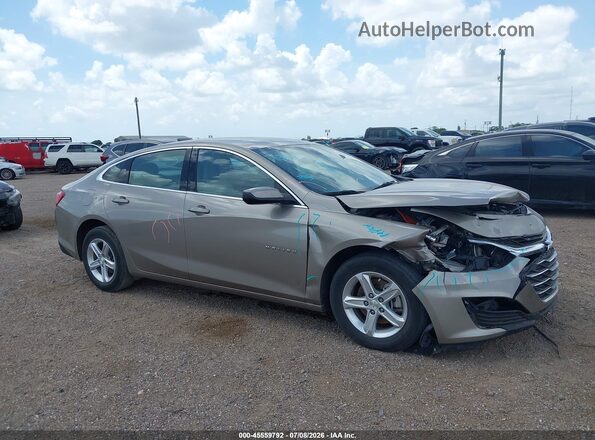1G1ZB5ST5RF145432 2024 CHEVROLET MALIBU Champagne Вид задньої частини салону