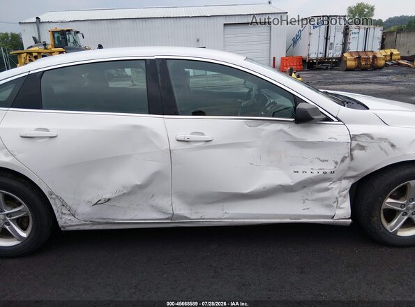 1G1ZB5ST6KF133067 2019 CHEVROLET MALIBU Белый Вид задней части салона