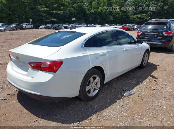 1G1ZB5ST9LF017007 2020 CHEVROLET MALIBU White Tył prawy