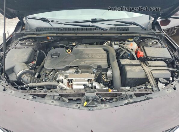 1G1ZB5ST9MF047240 2021 CHEVROLET MALIBU Burgundy უკანა სალონის ხედი