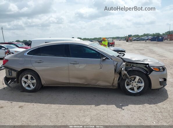 1G1ZB5ST9RF126320 2024 CHEVROLET MALIBU Серый Вид задней части салона