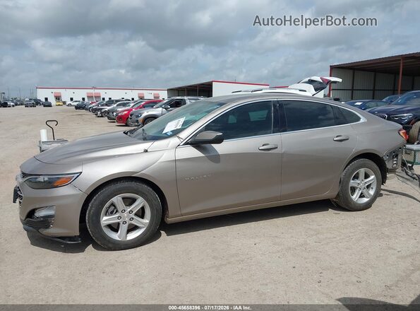 1G1ZB5ST9RF126320 2024 CHEVROLET MALIBU Серый Панорамный вид салона 360°