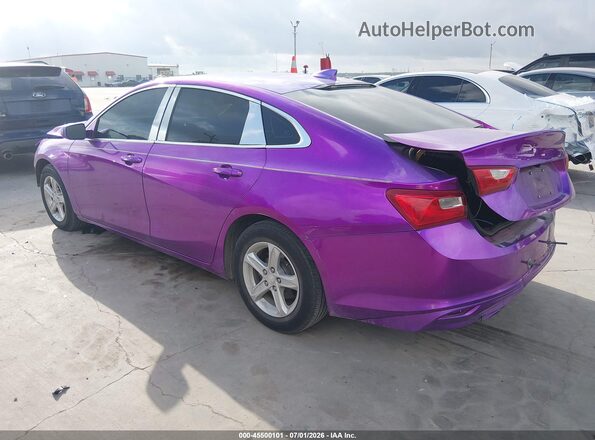 1G1ZB5STXKF206652 2019 CHEVROLET MALIBU Purple Tył lewy