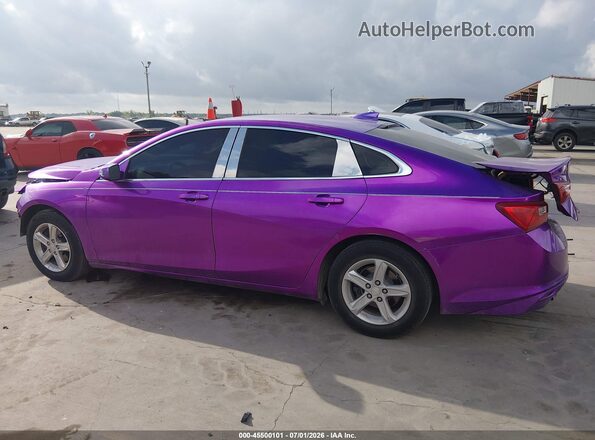 1G1ZB5STXKF206652 2019 CHEVROLET MALIBU Purple 