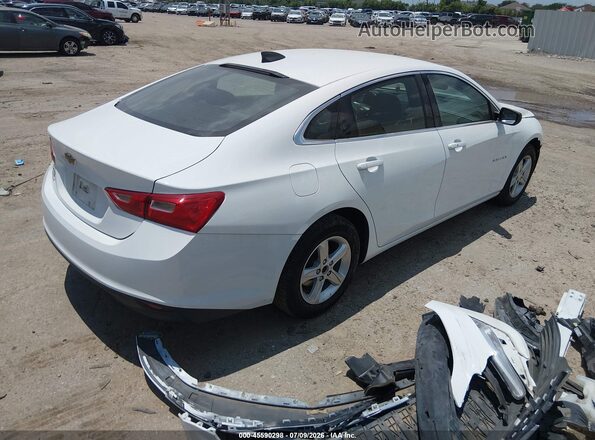 1G1ZB5STXLF047066 2020 CHEVROLET MALIBU White უკანა მარჯვენა