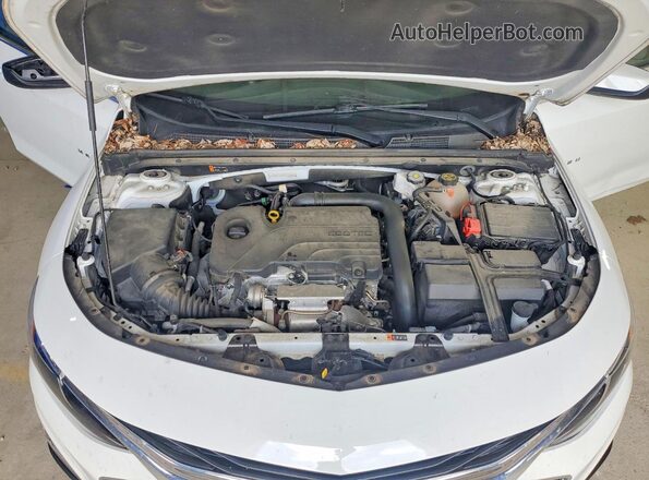 1G1ZC5ST0PF227417 2023 CHEVROLET MALIBU White Սալոնի հետևի տեսք