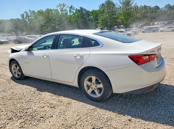 1G1ZC5ST0RF167965 2024 CHEVROLET MALIBU White უკანა მარცხენა