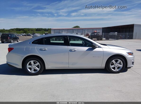 1G1ZC5ST1LF137137 2020 CHEVROLET MALIBU Silver Սալոնի հետևի տեսք