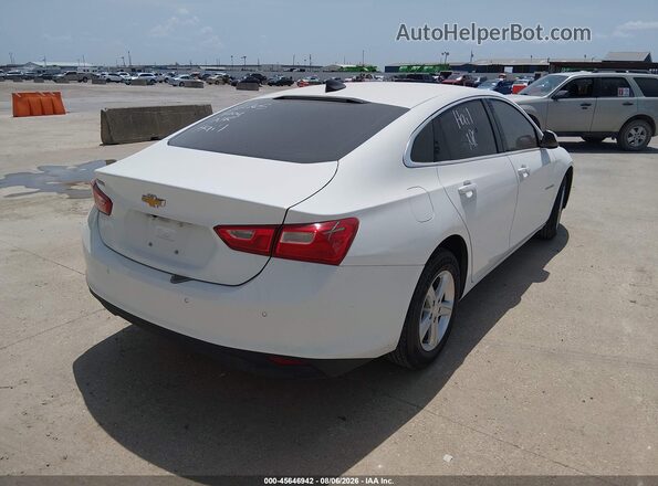 1G1ZC5ST1RF196360 2024 CHEVROLET MALIBU White Задня права чверть