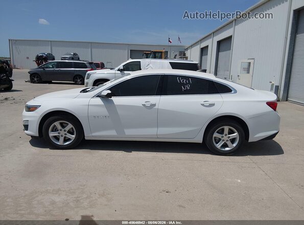 1G1ZC5ST1RF196360 2024 CHEVROLET MALIBU White 