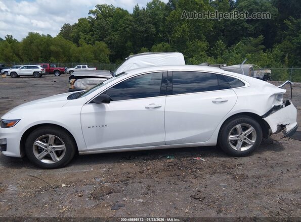 1G1ZC5ST2PF127058 2023 CHEVROLET MALIBU Белый 