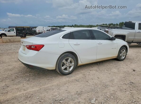1G1ZC5ST3PF146802 2023 CHEVROLET MALIBU White Tył prawy