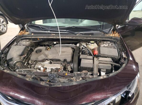 1G1ZC5ST4LF113978 2020 CHEVROLET MALIBU Brown Սալոնի հետևի տեսք