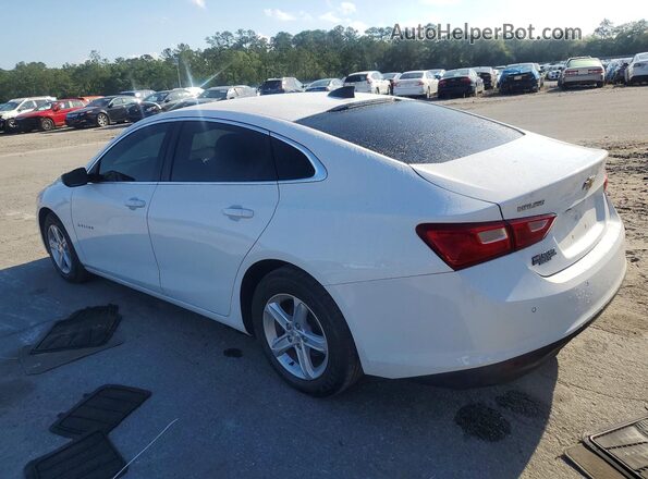 1G1ZC5ST5LF072390 2020 CHEVROLET MALIBU White Tył lewy