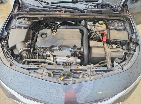 1G1ZC5ST6LF069160 2020 CHEVROLET MALIBU Blue Widok wnętrza z tyłu
