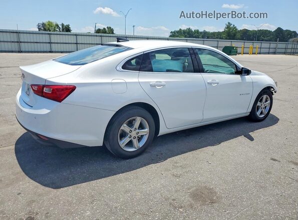 1G1ZC5ST6RF178873 2024 CHEVROLET MALIBU White Tył prawy
