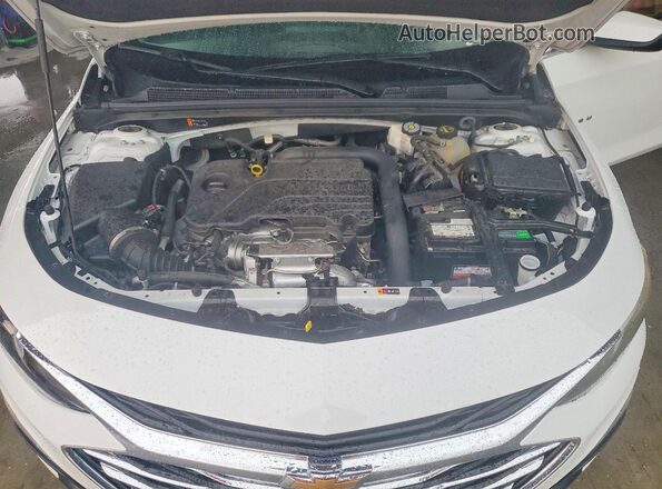 1G1ZC5ST6RF243303 2024 CHEVROLET MALIBU White Widok wnętrza z tyłu