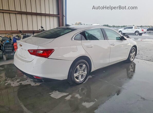 1G1ZC5ST6RF243303 2024 CHEVROLET MALIBU White Tył prawy
