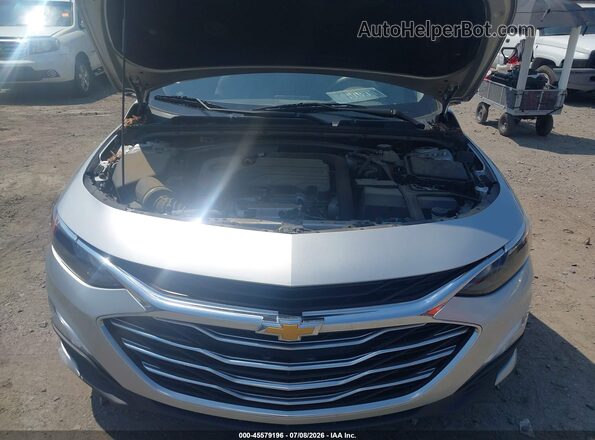 1G1ZC5ST7LF065067 2020 CHEVROLET MALIBU Silver Widok z tyłu