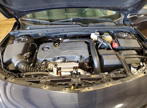 1G1ZC5ST7PF118095 2023 CHEVROLET MALIBU Черный Вид задней части салона